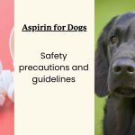 Can_i_give_a_dog_baby_aspirin