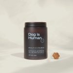 Can_i_give_my_dog_human_vitamin_e