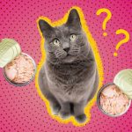 Can_you_feed_your_cat_tuna