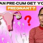 Can_you_get_pregnant_from_precum_a_reddit_perspective