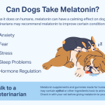 Can_you_give_a_dog_melatonin