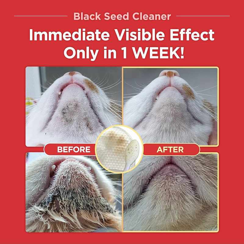 Cat Chin Acne Bleeding_ A Concerning Combination