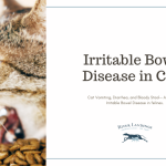 Cat_blood_in_stool_vomiting_a_potentially_alarming_symptom