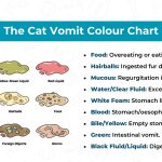 Cats_vomit_blood_in_feline_regurgitation