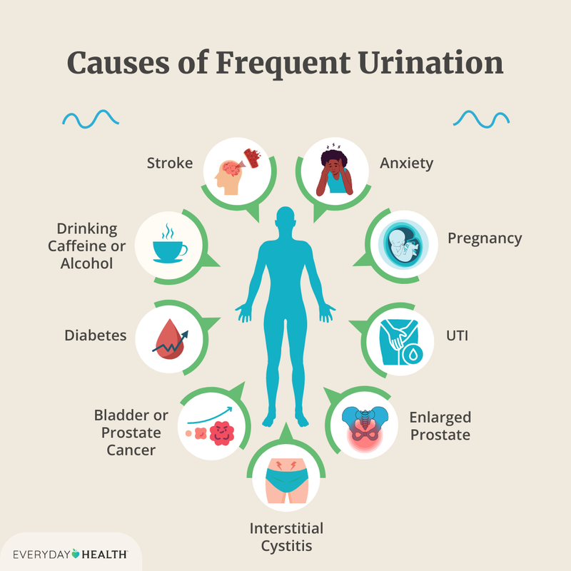Causes of Frequent Urination in Men