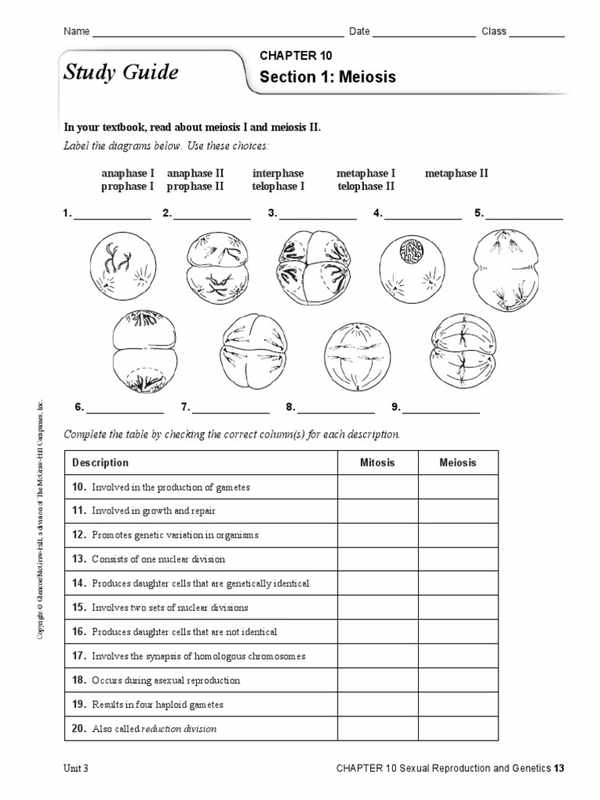 Chapter 10_ Sexual Reproduction and Genetics_ Section 1_ Meiosis Answers