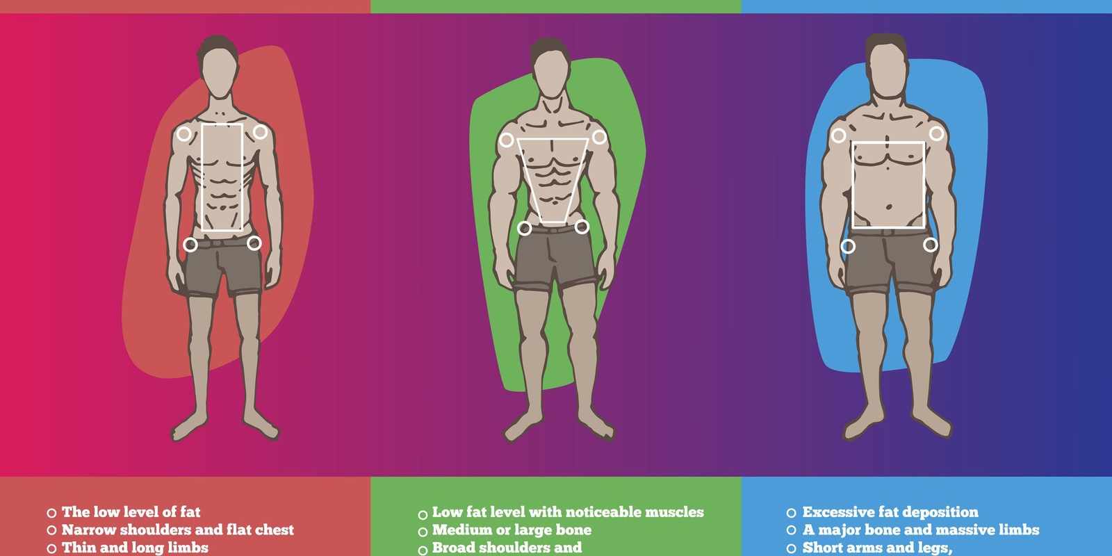 Check the Area That Applies to an Endomorph Body Type