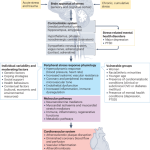 Classify_each_source_of_stress_as_either_a_major_life_stressor_or_a_daily_hassle