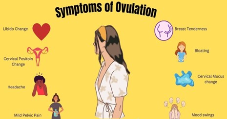 11 Days After Sex Cramps_ Understanding Your Body_s Signals