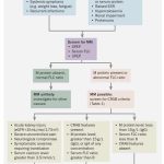 Diagnosing Protein in Urine A Comprehensive Guide_1