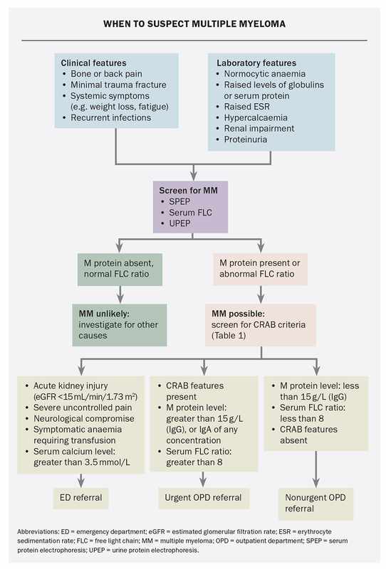 Diagnosing 1 Protein in Urine_ A Comprehensive Guide