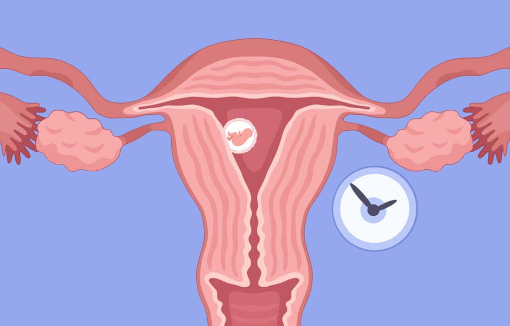 During Pregnancy_ Bleeding Sex_ A Comprehensive Guide