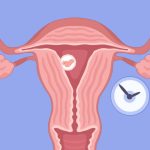 During_pregnancy_bleeding_sex_a_comprehensive_guide