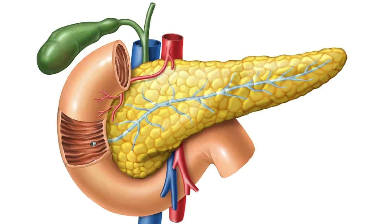 Foods Acidic Damaging the Pancreas