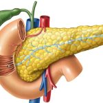 Foods_acidic_damaging_the_pancreas