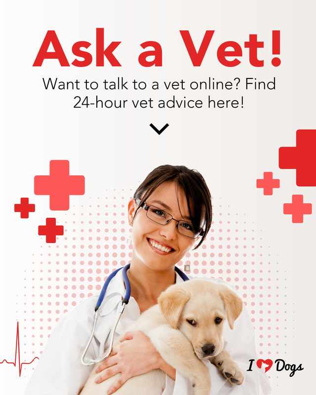 Free Online Ask a Vet