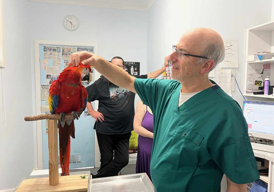 Free Online Bird Veterinarian Consultation