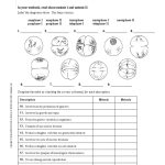 Free_assessment_chapter_test_meiosis_sexual_reproduction_answer_key_pdf