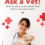Free_online_ask_a_vet