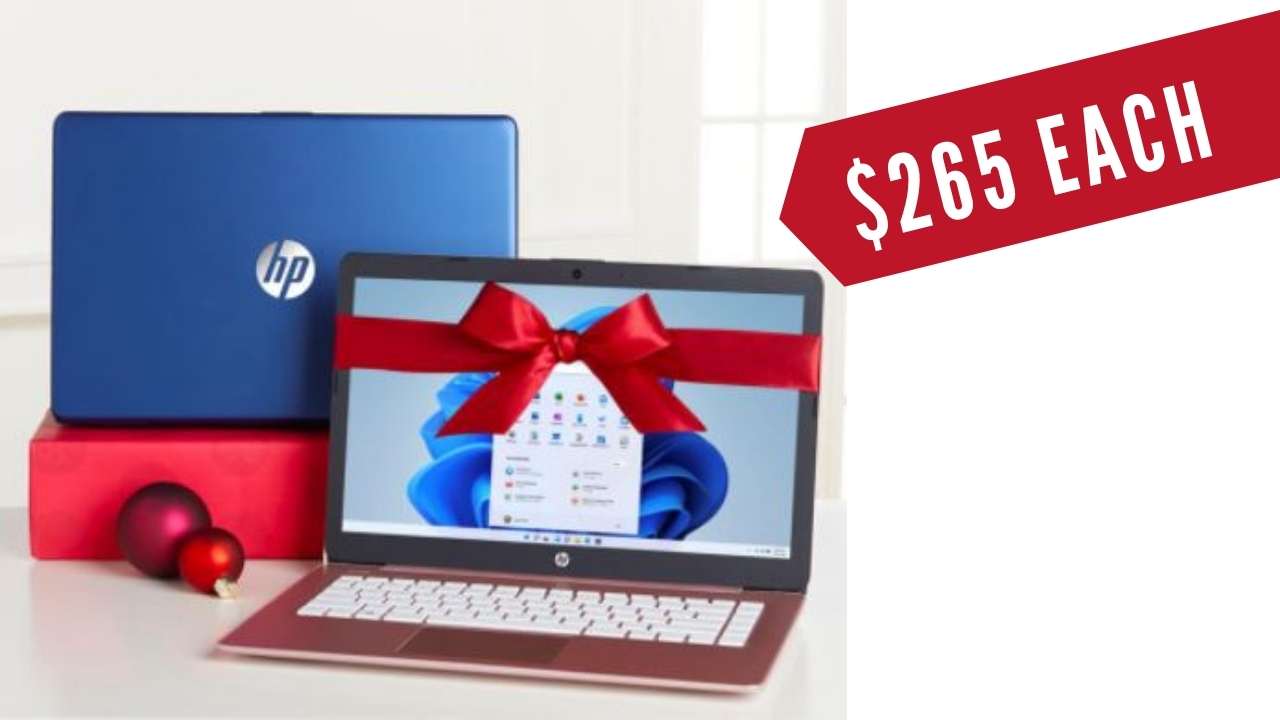HP Stream 2-Pack 14_ Laptops with Microsoft Office 365 _ Tech Support