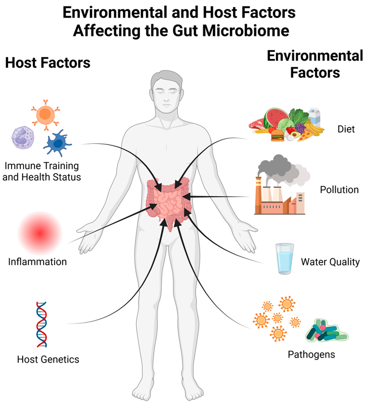 How Temperature and pH Levels Influence Microbial Infections in the Human Body