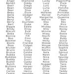 Male_chihuahua_boy_dog_names