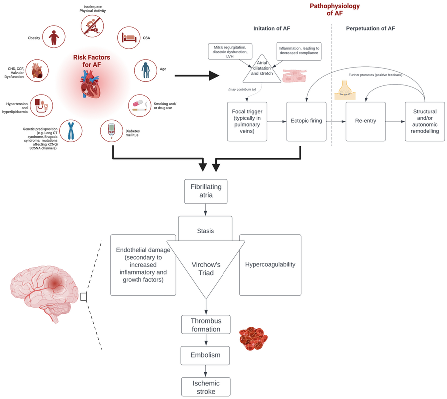 Optimizing Treatment for Afib with RVR Nursing Strategies