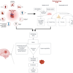 Optimizing_treatment_for_afib_with_rvr_nursing_strategies