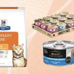 Prevent_urine_crystals_with_cat_food