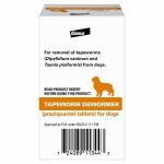 Side Effects of Bayer Tapeworm Dewormer for Dogs What You Need to Know_1