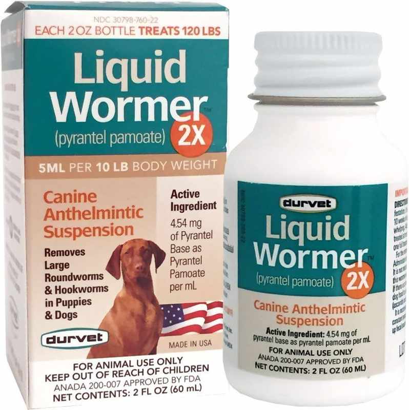 The Best Dewormer for Puppies Near Me