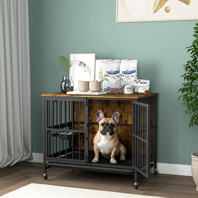 The Best Diet for Indoor Dogs
