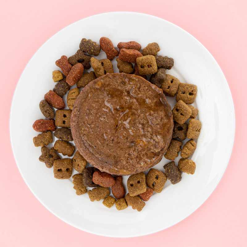 The Best Dog Food for Dogs with Loose Stools