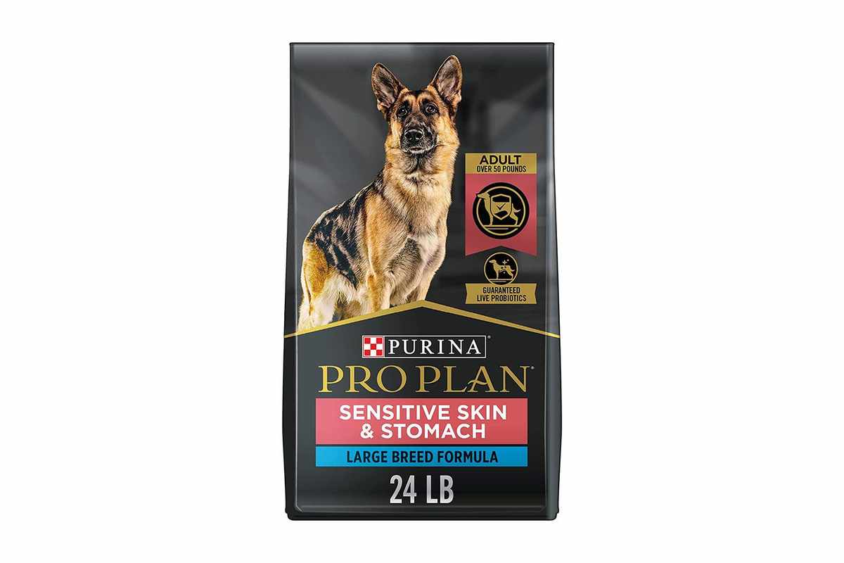 The Best Dog Food for Large Breed Senior Dogs