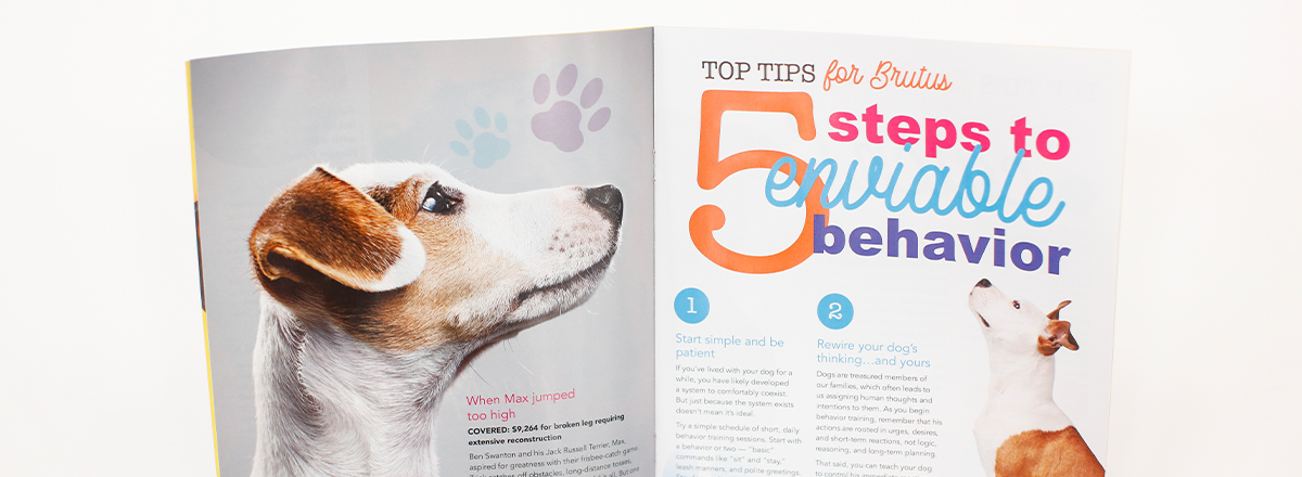 The Best Dog Training Books on a Dog Forum