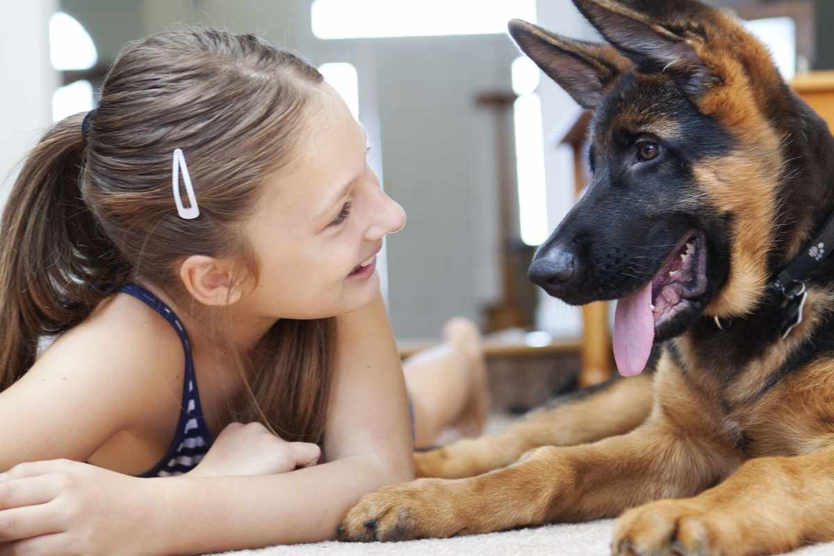 The Best Family-Friendly Dog Breeds for Protection