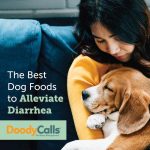 The Best Food for Puppy with Diarrhea_1