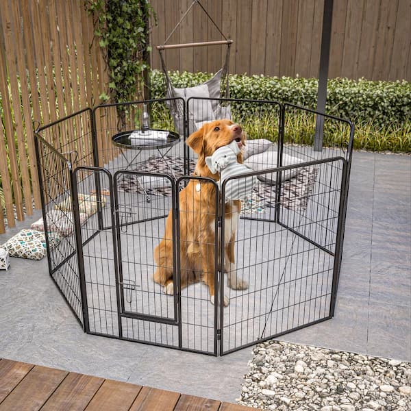 The Best Indoor Invisible Fences for Dogs