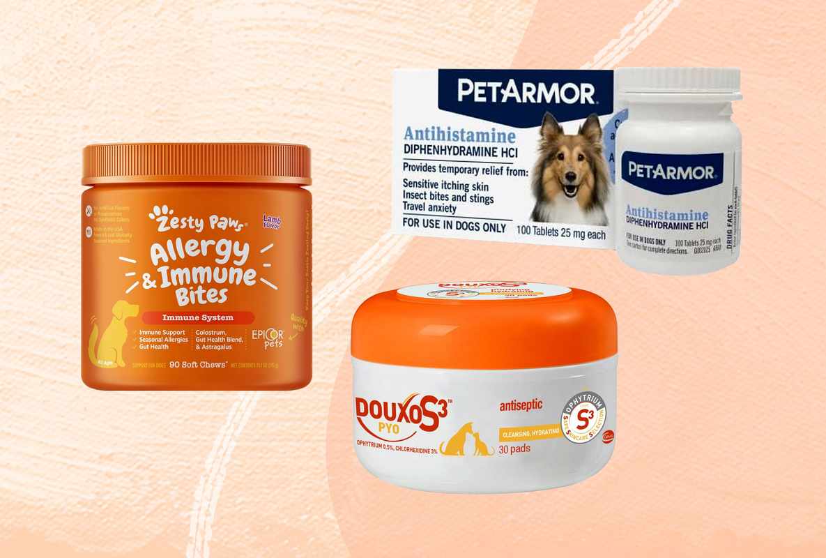 The Best Medicine to Give Dogs for Allergies