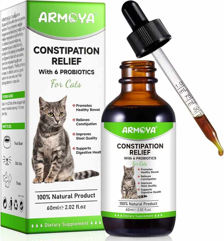 The Best Mild Laxative for Cats