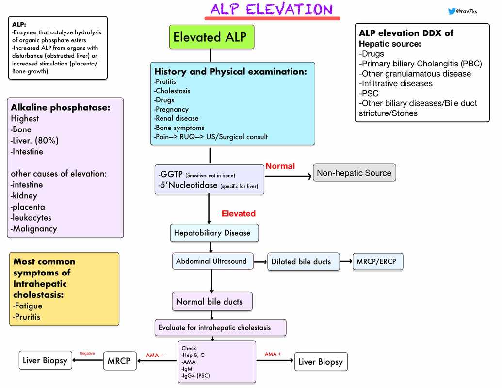The Causes of High Alkaline Phosphatase