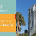 The_best_apartments_for_dogs_in_st_petersburg_fl