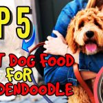 The_best_dog_food_for_goldendoodle_puppy