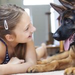 The_best_family-friendly_dog_breeds_for_protection