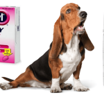 The_best_medicine_to_give_dogs_for_allergies