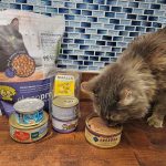 The_best_moist_cat_food_for_senior_cats