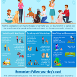 The_best_way_to_socialize_dogs