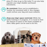 The_best_ways_to_house_train_a_puppy
