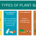 The_bun_creatinine_ratio_low_a_guide_to_vegan_health