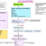 The_causes_of_high_alkaline_phosphatase